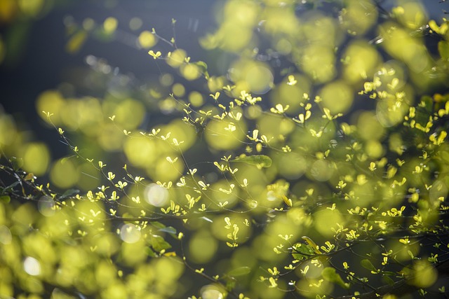 2025 學習英語的3大Travel Tips：在旅途中提升語言能力 [Three Travel Tips For Learning English: Improving Language Skills During Your Journey]