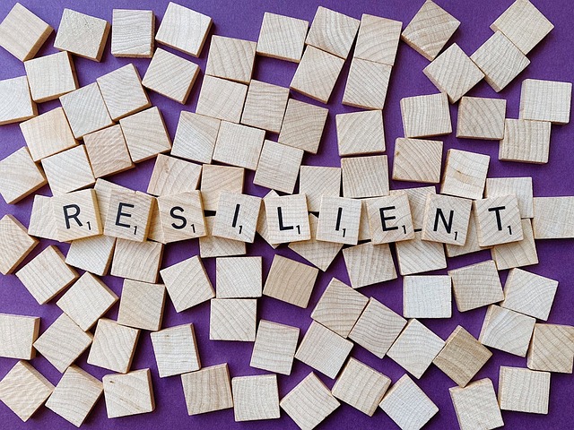 Resilient-掌握這5個英文單詞，提升你的個性表達 [Master These 5 English Words to Enhance Your Personal Expression]