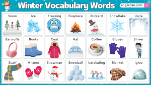 【2025】如何利用Winter單字學習法提升學生英文能力？ [How to Enhance Students' English Skills with the Winter Vocabulary Learning Method?]