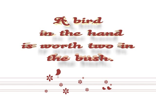 Proverbs【2025】三大英文諺語勵志技巧：讓你的英文學習更有動力 [Three Inspirational English Proverbs For 2025: Dynamos For Your Language Learning]