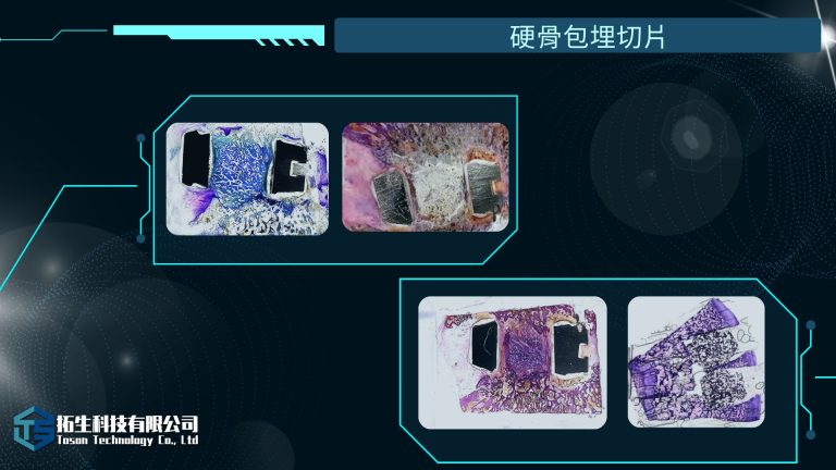 如何透過IG文案範例提升英文教學的吸引力？ [How To Enhance The Appeal Of English Teaching Through IG Copy Examples?]