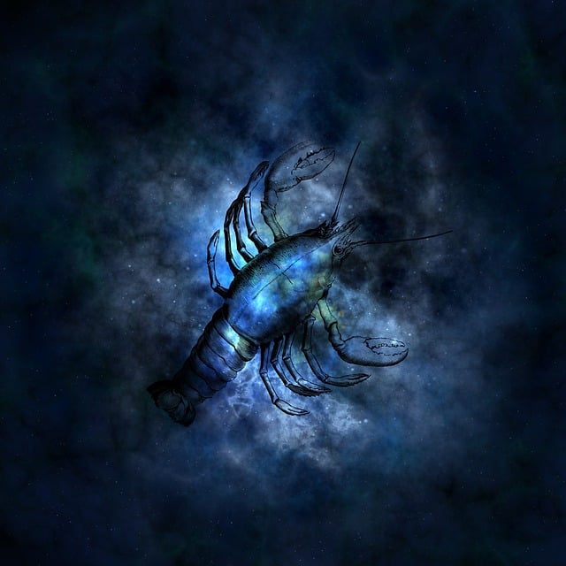 避開十二星座英文學習的七大常見錯誤｜提升星座詞彙力的方法 [Avoiding Common Mistakes In Learning English According To Zodiac Signs: Enhance Your Vocabulary Skills]