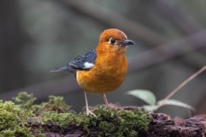 2025冷門英文名字選擇指南：如何避免重名並突顯個人風格 [Guide To Choosing Uncommon English Names In 2025: How To Avoid Common Names And Highlight Personal Style]