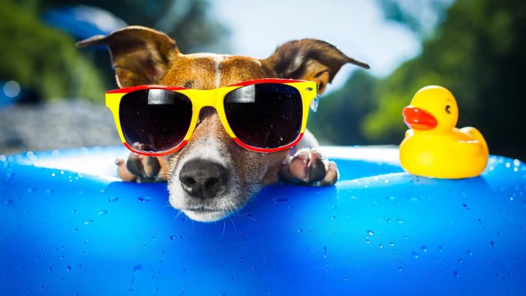 很chill的意思是什麼？英文怎麼說及5個實用例句解析 [What Does '很chill' Mean? Uses and 5 Practical English Examples]