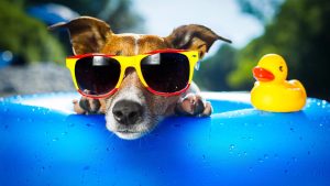 Chill 不是只有放鬆？6 個你不知道的英文 chill 用法解析 [6 Unique Ways to Use 'Chill' in English You Didn't Know]