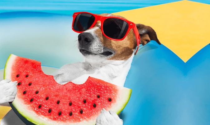 Chill 意思一次搞懂：用 7 個實用英語例句學會正確用法 [All About the Meaning of Chill: 7 Practical English Examples]