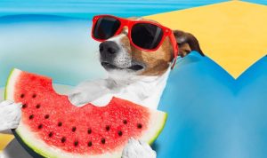 Chill 意思是什麼？別再用錯！8種最常見的英文用法與地雷解析 [What Does Chill Mean? 8 Common Usages and Traps in English]