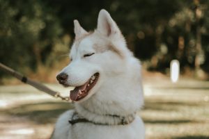 名字翻譯常見5大錯誤｜英文教學專家教你如何避免尷尬場面 [5 Common Mistakes In Name Translation And How Experts Advise You To Avoid Embarrassment]