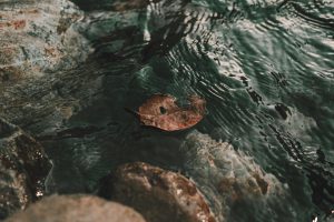 宜蘭英文怎麼說？避免這3個常見用法錯誤，讓你的旅遊英文更道地 [How To Say Yilan In English? Avoid These 3 Common Mistakes For More Authentic Travel English]