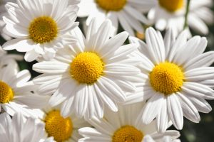 學習英文總是半途而廢？8個你必須避免的常見錯誤 [8 Common English Learning Mistakes To Avoid]
