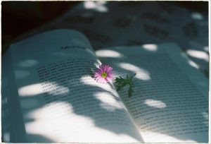 英語學習常見錯誤總整理｜你該避免的7大英語學習迷思 [7 Common English Learning Myths You Should Avoid]