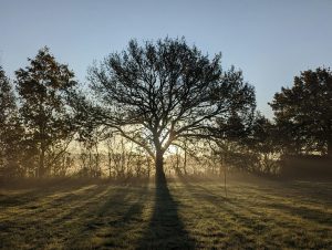 練習英文沒進步？7個常見錯誤你一定要避免！ [7 Common Mistakes Blocking Your English Improvement]