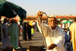 屬蛇今年幾歲？英文怎麼說與生肖年齡換算法一次搞懂！ [How Old Are People Born In The Year Of The Snake? Chinese Zodiac Age & English Guide]