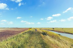 健康生活提案：2025年你該避免的7個英語學習壞習慣 [Healthy Lifestyle Proposal: 7 Bad English Learning Habits You Must Avoid In 2025]