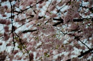Apr 月份不可忽視的5大英文學習重點｜你錯過了哪些提升英語力的時機？ [5 Key English Learning Highlights In April: Don’t Miss Your Golden Opportunity]