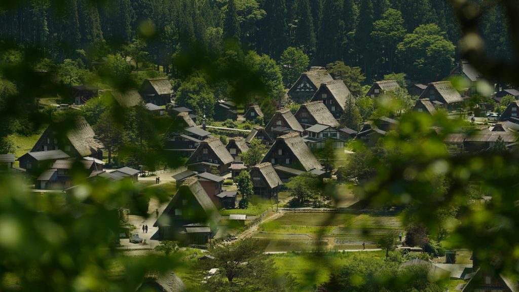 國中學區爭議不可不知的5大陷阱｜家長選校時最常後悔的決定 [5 Hidden Pitfalls In Junior High School District Controversy: Parents' Regrets In School Selection]｜