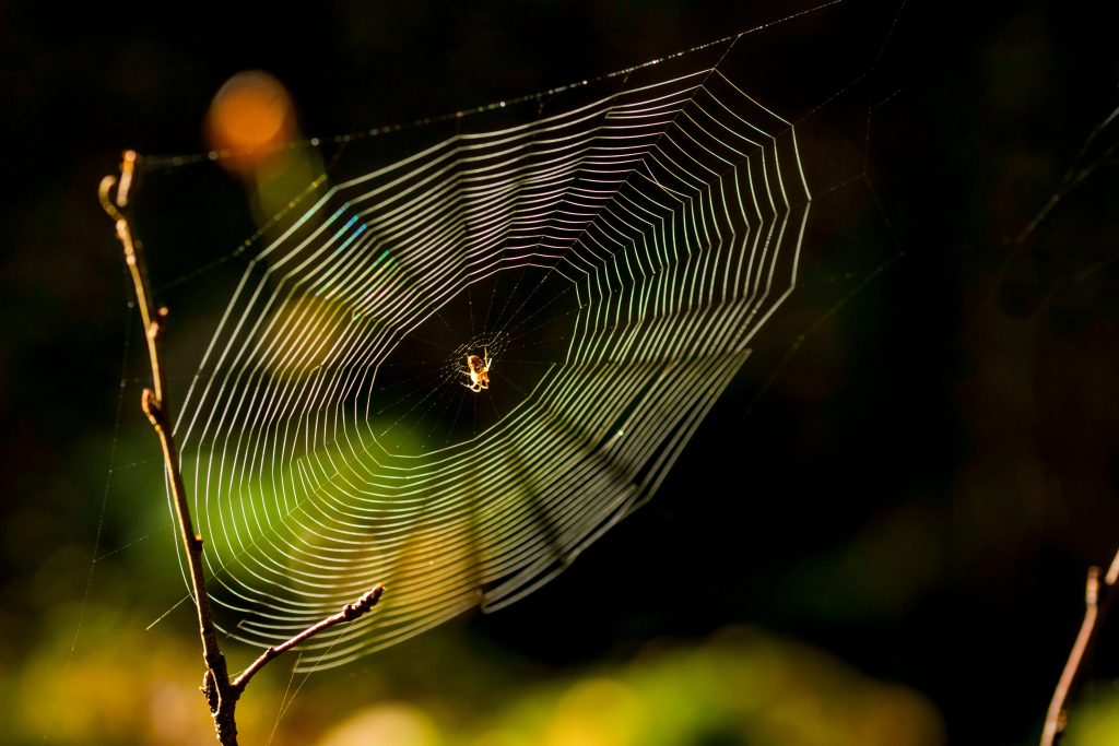 階級戰爭壓力英文怎麼說？3種常見用法與你必須避開的翻譯錯誤 [How To Say 'Class Warfare Pressure' In English? 3 Common Usages And Translation Pitfalls]｜