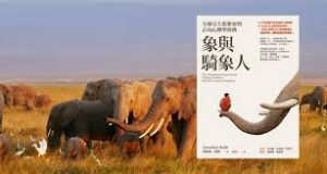 象與騎象人讀後心得：原來人生選擇背後有這層心理學，英文學習者該避免的3大決策盲點
