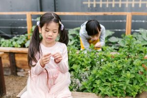 特教老師不可不知的5個英文教學常見錯誤（你中了幾個？） [5 Common Mistakes Special Education Teachers Make In English Teaching]