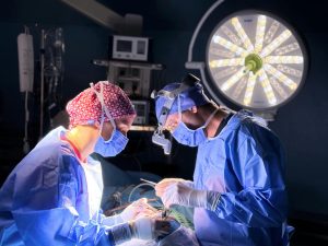 醫學生名額縮水？2025年想申請醫學系你該避開的5大誤區 [Medical School Quota Shrinking? 5 Mistakes To Avoid When Applying To Medicine In 2025]