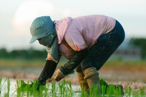 情緒管理是關鍵！孩子未來成功的第一步：5個家長必學的英語溝通技巧 [Emotional Management Is Key! The First Step To Your Child’s Success: 5 Must Learn English Communication Skills For Parents]