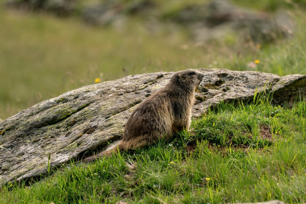 小學生怎麼學自律？這幾個方法最有效｜老師也推薦的5大訣竅與英文學習小技巧 [How Do Elementary Students Learn Self Discipline? The Most Effective Methods And 5 Key English Learning Tips Recommended By Teachers]｜