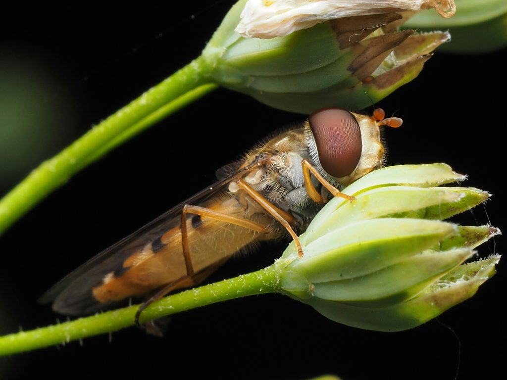 教育部暑期工讀英文面試不得不知的5大常見錯誤（2025最新） [5 Common English Interview Mistakes For MOE Summer Internships (2025 Updated)]｜