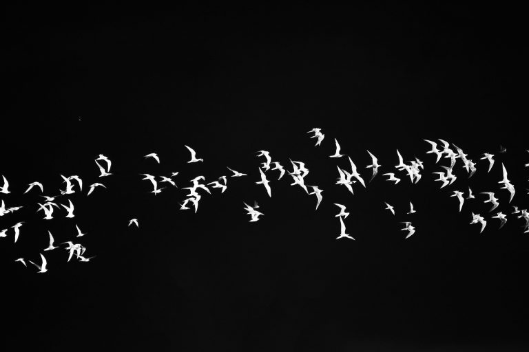 夜間飛行讀後心得：4個英文學習者絕不能忽視的啟發 [Night Flight Reading Reflections: 4 Insights English Learners Must Not Ignore]