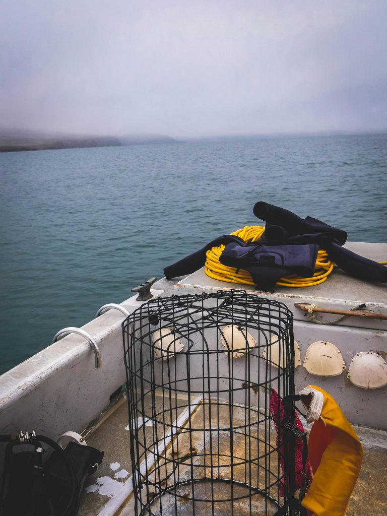 英文文法常犯的7大錯誤｜你一定要避免的學習陷阱 [7 Most Common English Grammar Mistakes You Must Avoid]｜