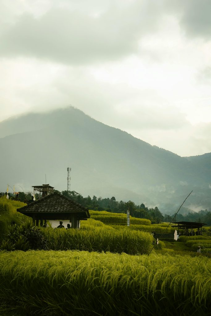 教育預測：2025年英語學習者必須注意的3大趨勢與陷阱 [Education Forecast: 3 Key Trends And Pitfalls English Learners Must Note In 2025]｜