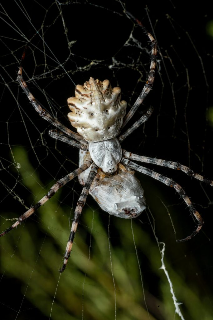 很chill英文怎麼說？9個最實用的『很chill』英文用法和地雷誤區一次解析 [How To Say '很chill' In English? 9 Practical Usages And Pitfalls Explained]｜