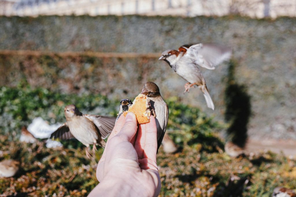 多益考試內容有哪些陷阱？10個你一定要避免的常見誤區 [10 Common TOEIC Exam Traps You Must Avoid]｜