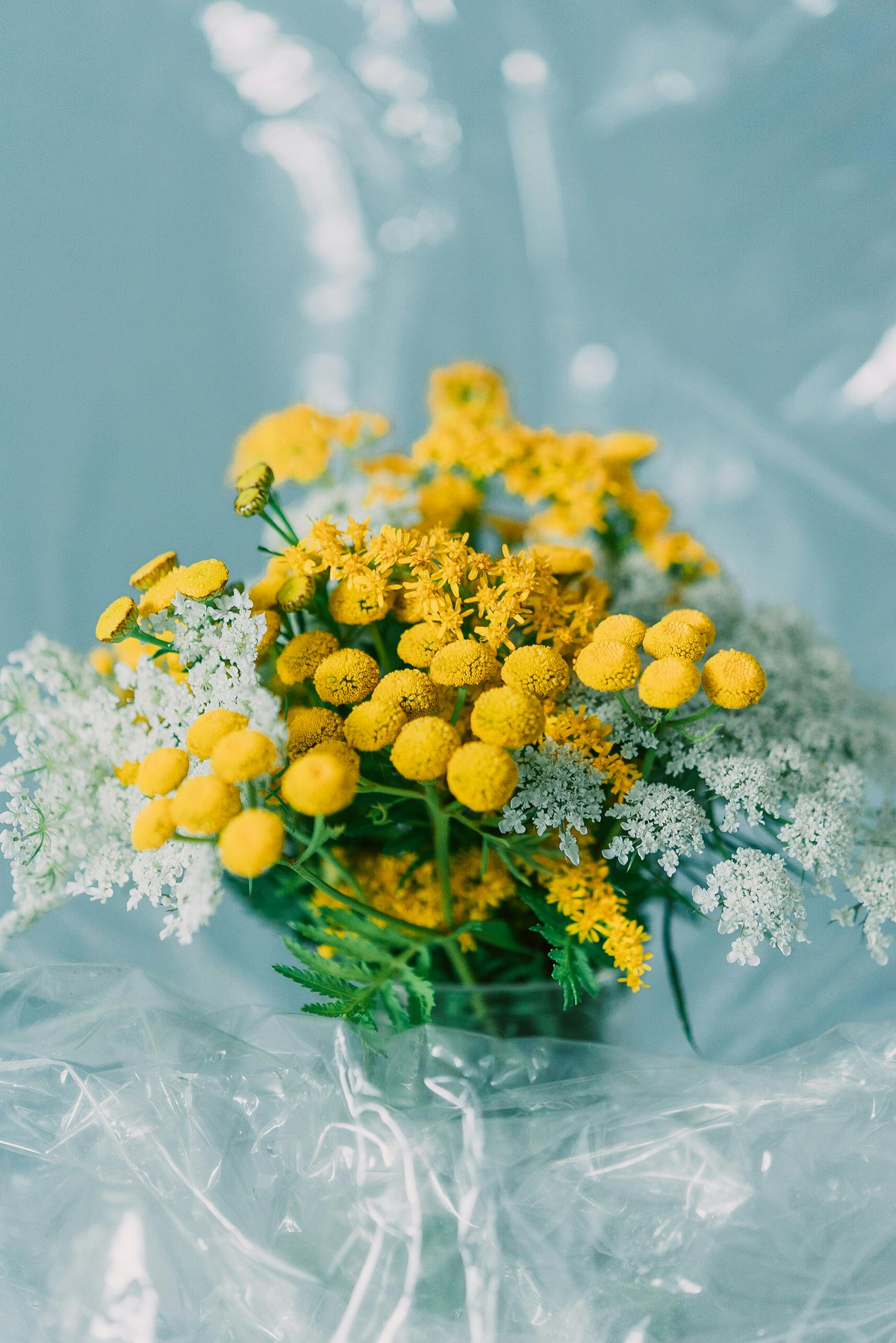 生日祝福英文怎麼說？8個最常見卻容易用錯的表達方式 [Common Mistakes In Birthday Greetings In English: 8 Phrases To Avoid]｜