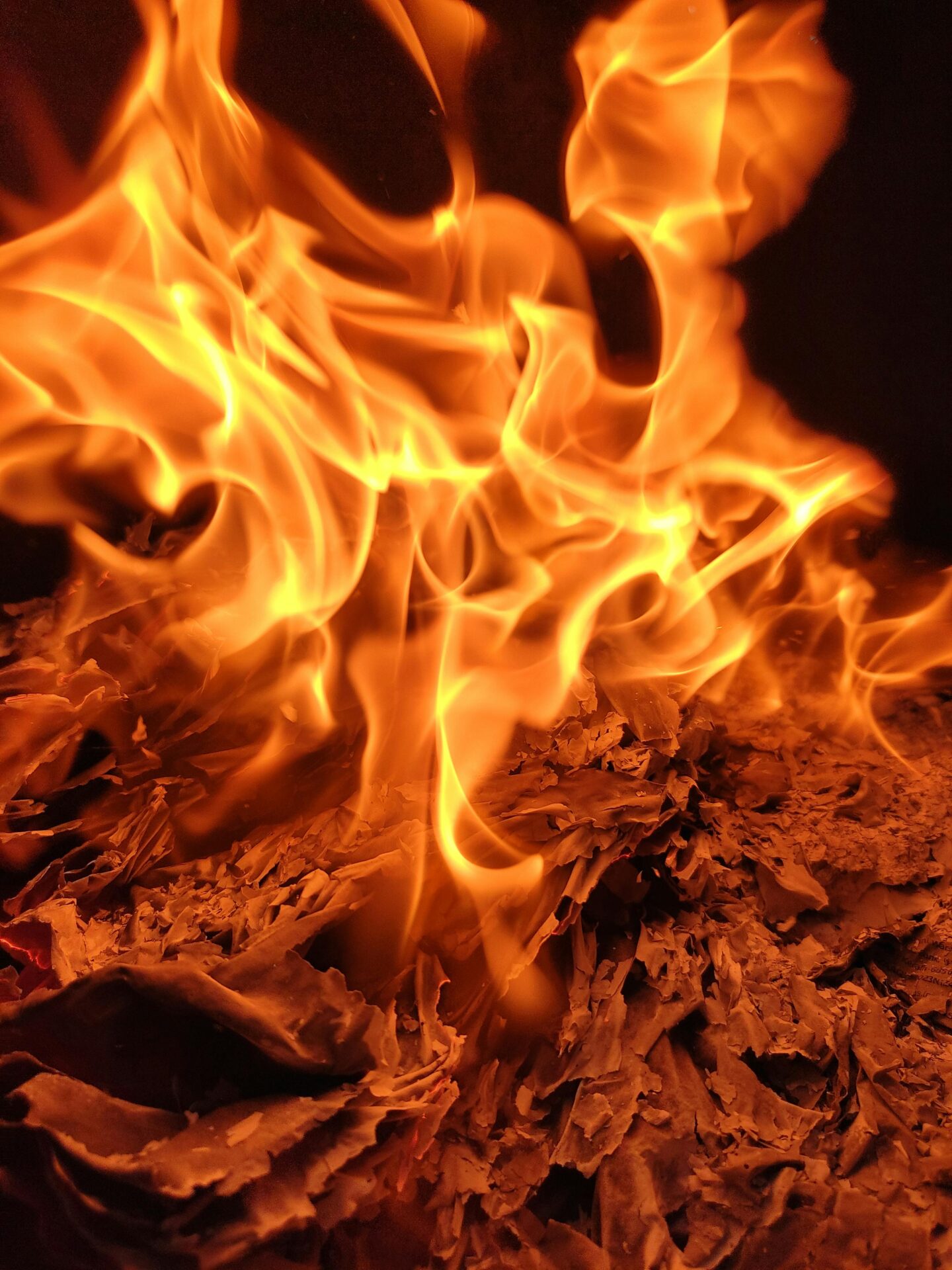 護照翻譯錯誤怎麼辦？英文文件常見5大失誤與避免方法全解析 [Passport Translation Mistakes: 5 Common Errors In English Documents And Complete Prevention Guide]｜