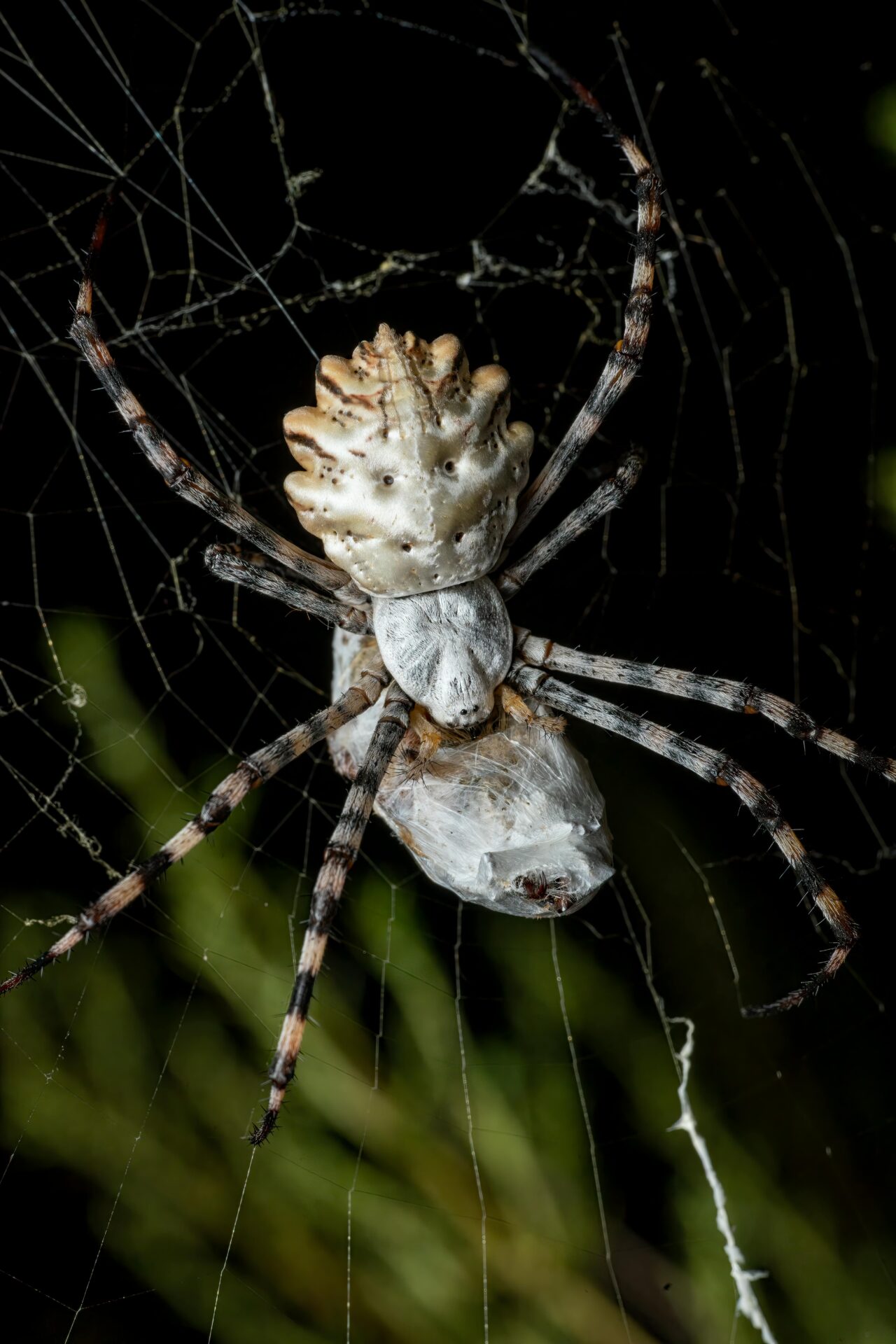 Jul是什麼意思？英文中jul的3大常見用法與誤區解析 [What Does 'jul' Mean? 3 Common English Usages And Pitfalls Explained]｜