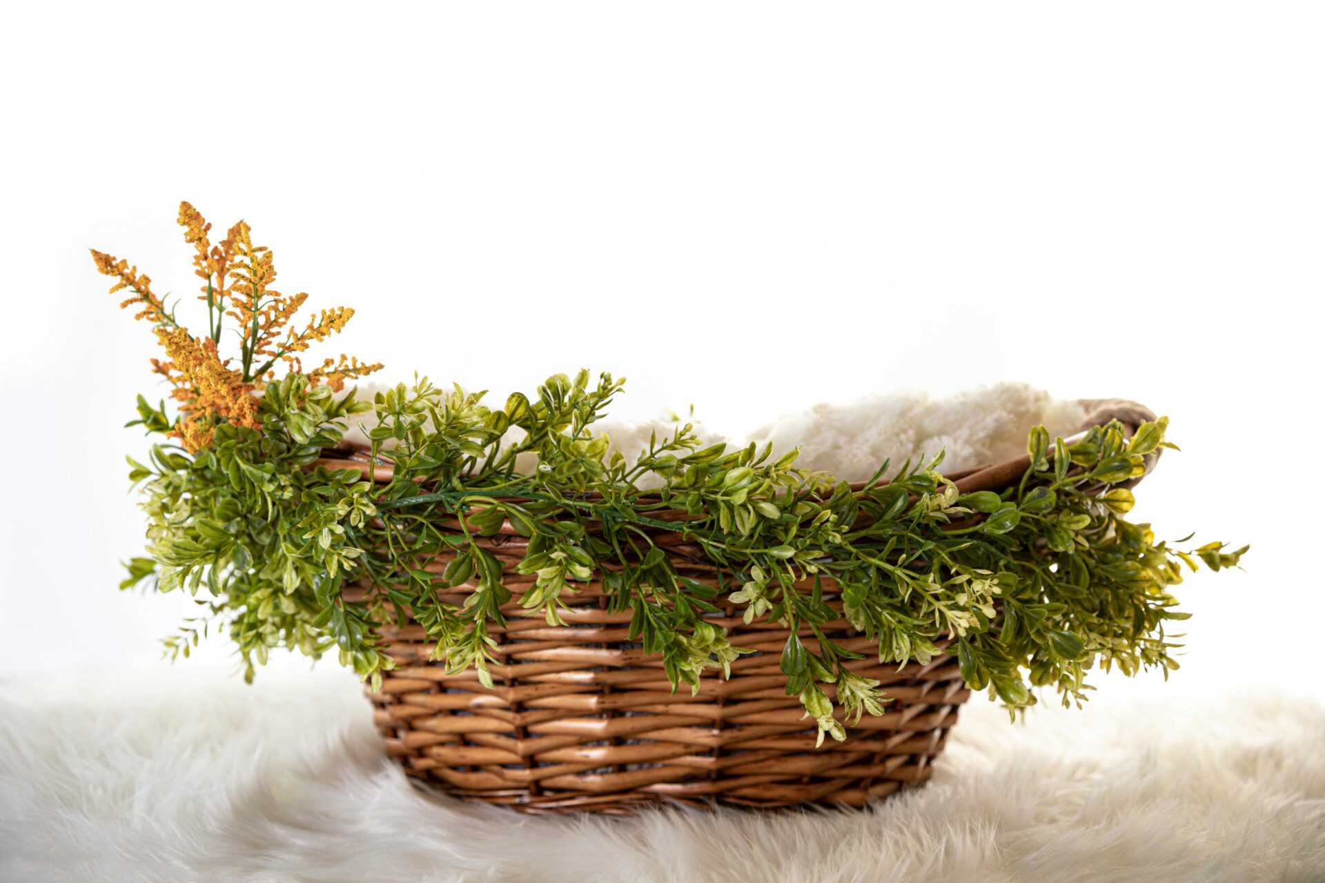 最準的日文翻譯避免錯誤：英文學習者常見5大陷阱與正確對應方式 [The Most Accurate Japanese Translation: 5 Traps English Learners Must Avoid And Correct Solutions]｜