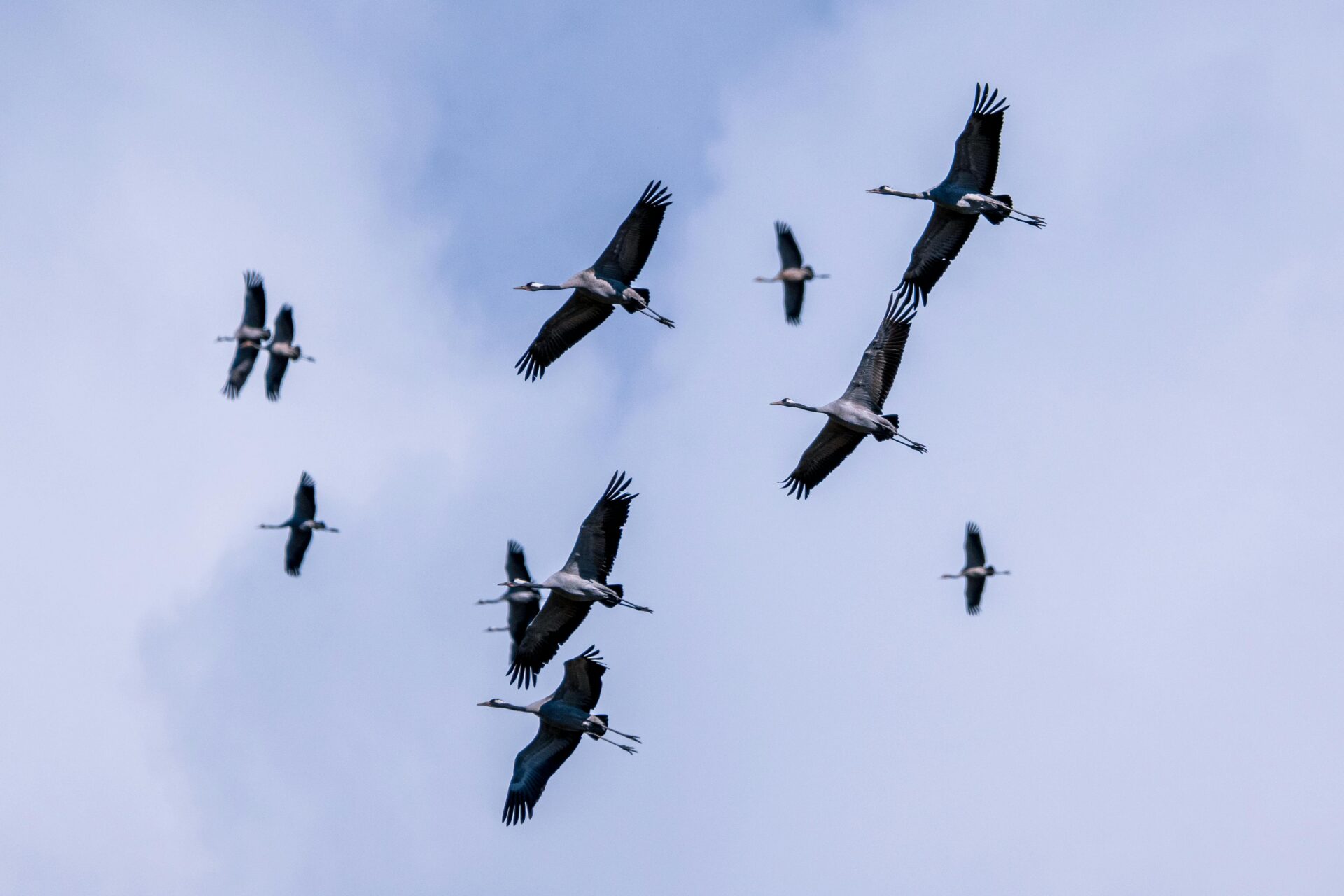 合作英文怎麼說？5個不能犯的合作英文用語錯誤與實用範例解析 [How To Say 'Cooperation' In English? 5 Common Mistakes And Practical Examples]｜