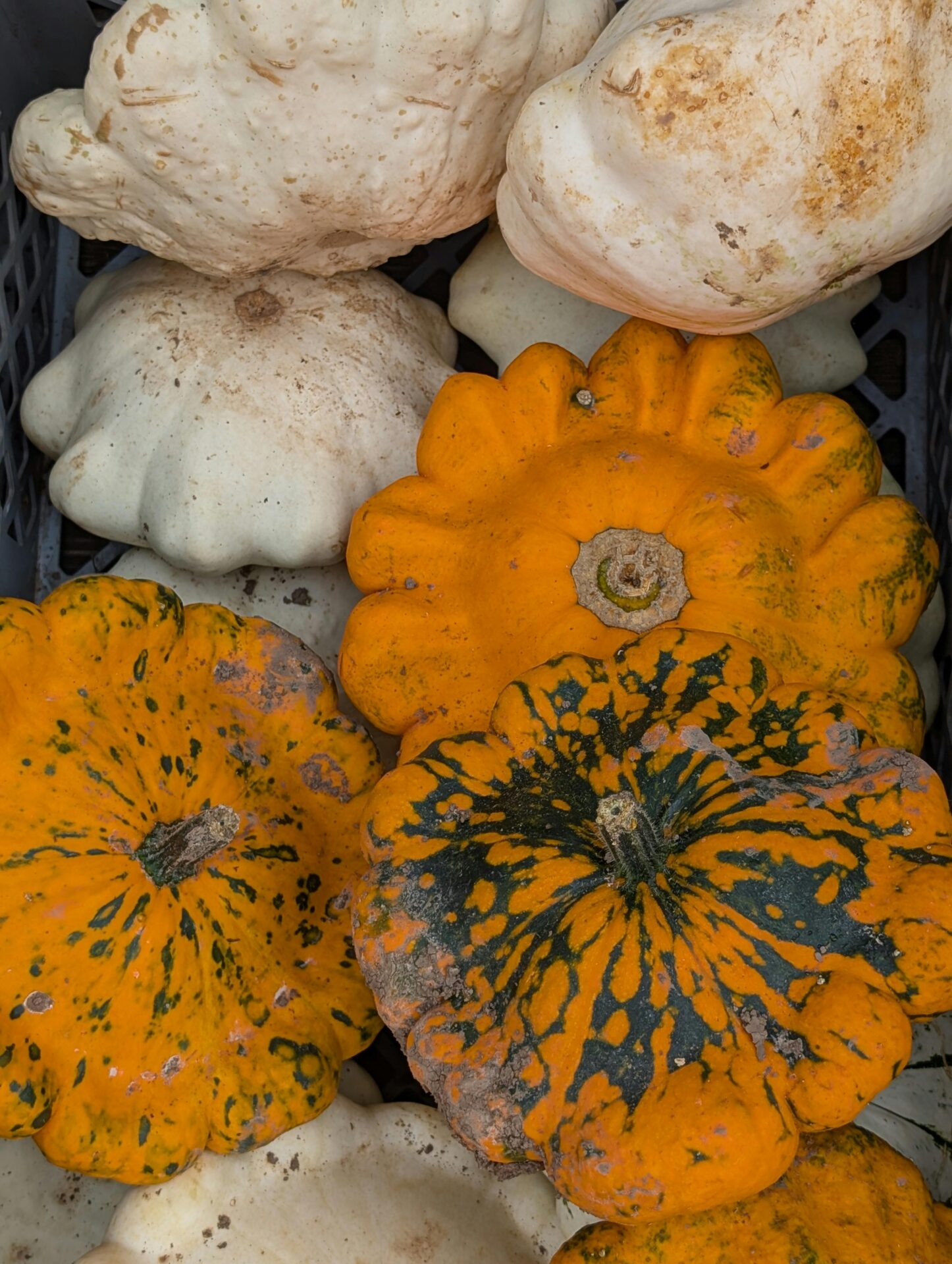 合作英文怎麼說？5個不能犯的合作英文用語錯誤與實用範例解析 [How To Say 'Cooperation' In English? 5 Common Mistakes And Practical Examples]｜