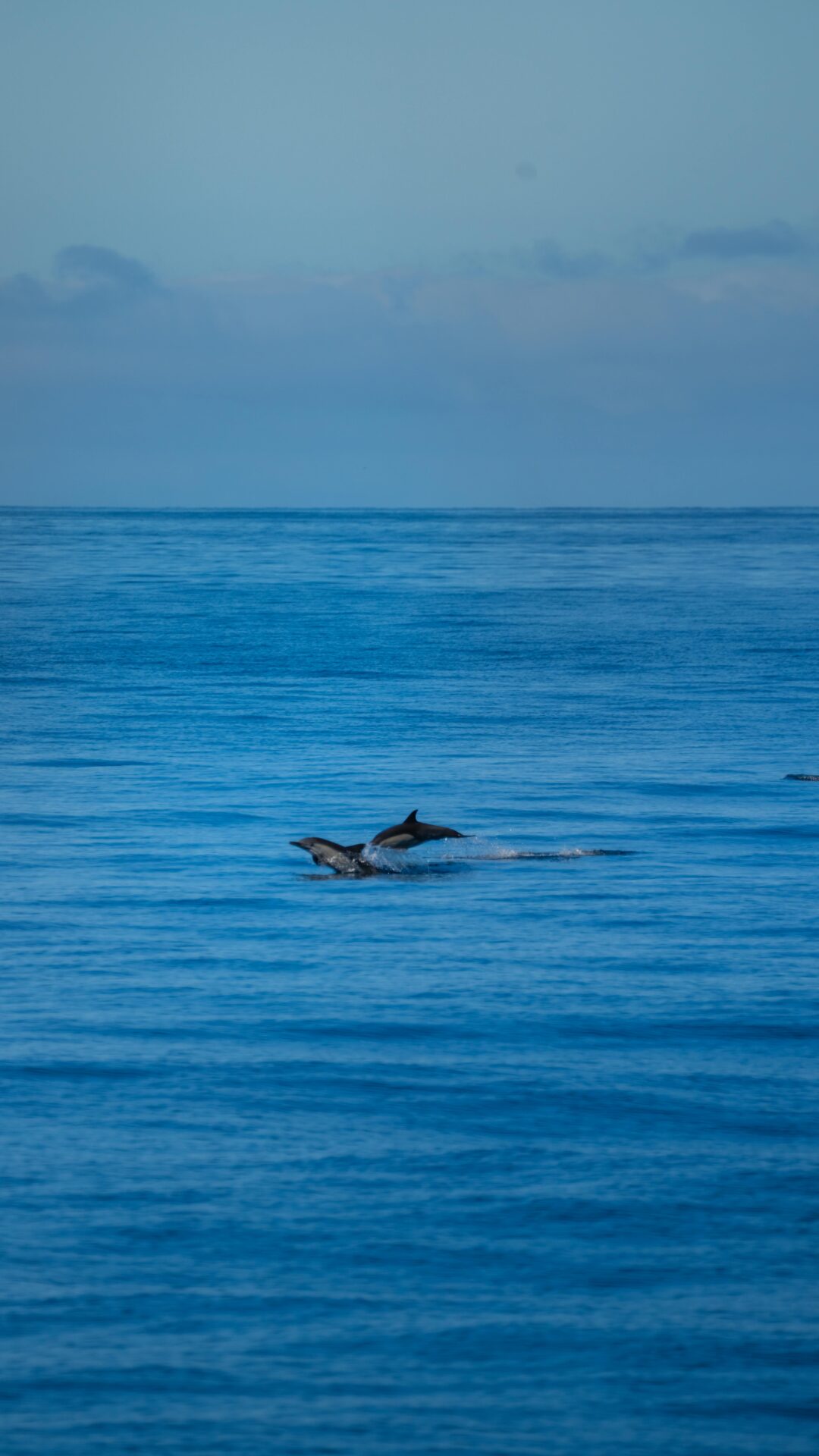 旅行英文常見錯誤大解析｜10個你絕不能再犯的英文用法 [Top 10 Common Mistakes In Travel English You Must Avoid]｜