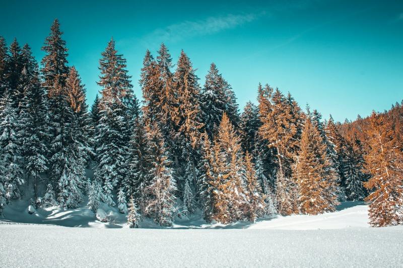 feb 月份英文怎麼說？避免3個常見錯誤，學會正確用法！