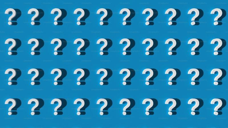 Which 和 What 差在哪裡？英文初學者最常搞混的 5 大用法解析 (3)