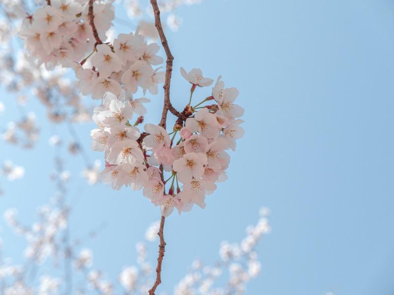 Mar月份英文怎麼說?3個常見錯誤你一定要避免! (1)