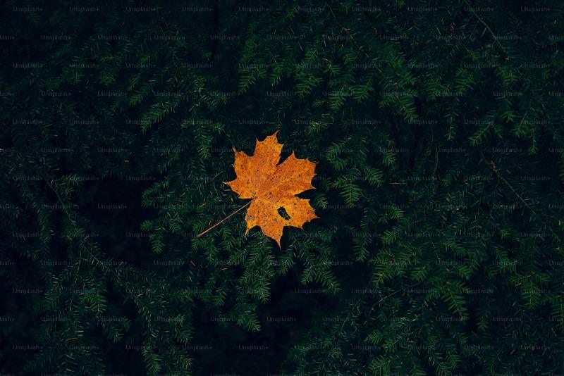 月份英文縮寫教學|讓你快速記住12個月份縮寫的3大訣竅, 提升國際溝通上的英文力 (4)