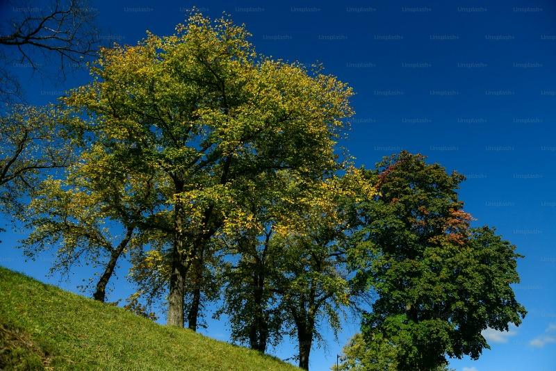 月份英文怎麼記最有效？5個你絕不能再用錯的學習方法, 今後不再寫錯月份英文 (6)