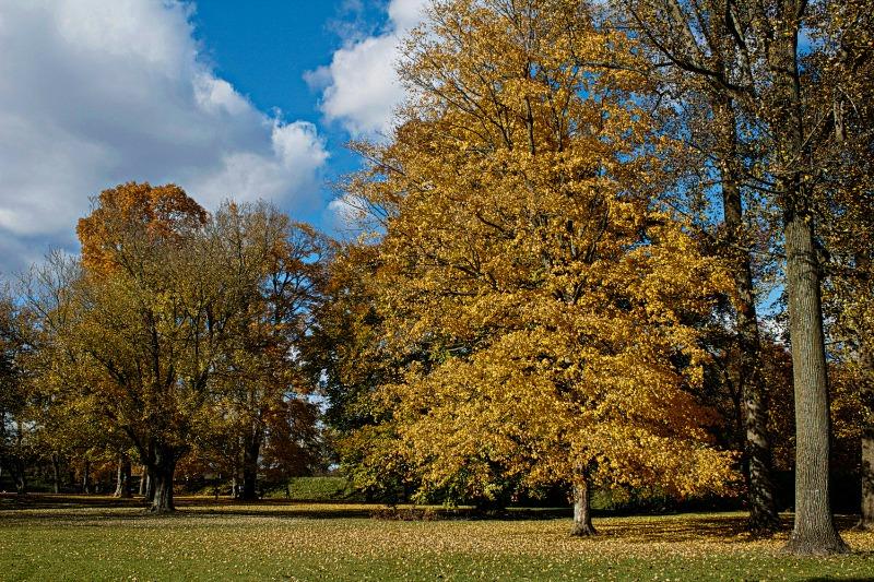 月份英文怎麼記最有效？5個你絕不能再用錯的學習方法, 今後不再寫錯月份英文 (8)