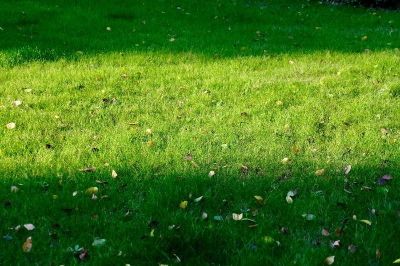 月份英文怎麼記最有效？5個你絕不能再用錯的學習方法, 今後不再寫錯月份英文 (2)