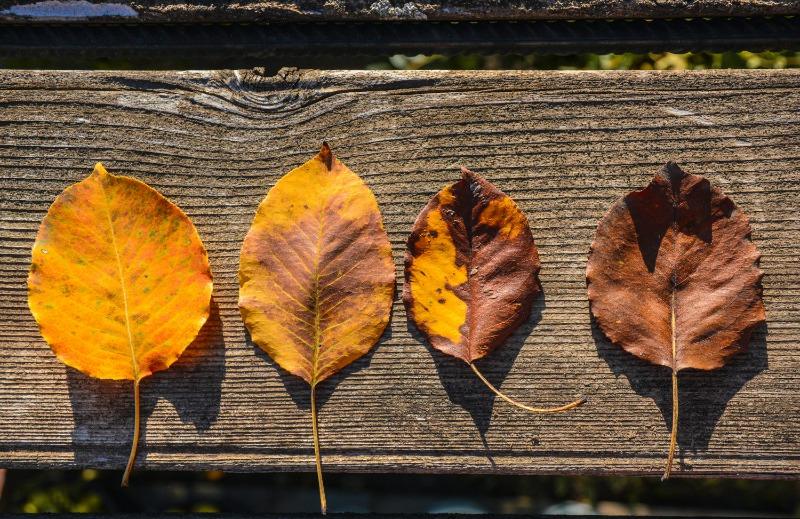 九月英文 Sep 用法全攻略：8 大縮寫差異、日期寫法與常見錯誤一次搞懂 (9)