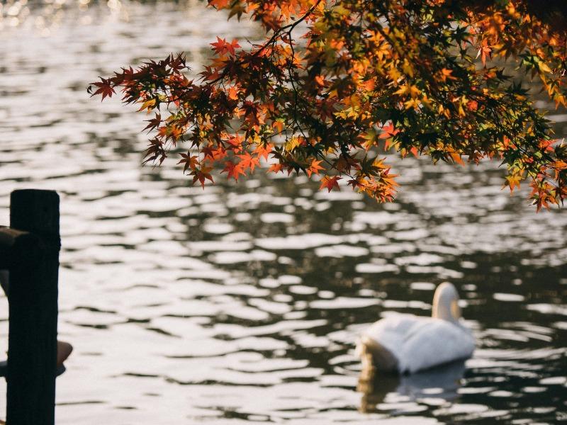 九月英文 Sep 用法全攻略：8 大縮寫差異、日期寫法與常見錯誤一次搞懂 (1)
