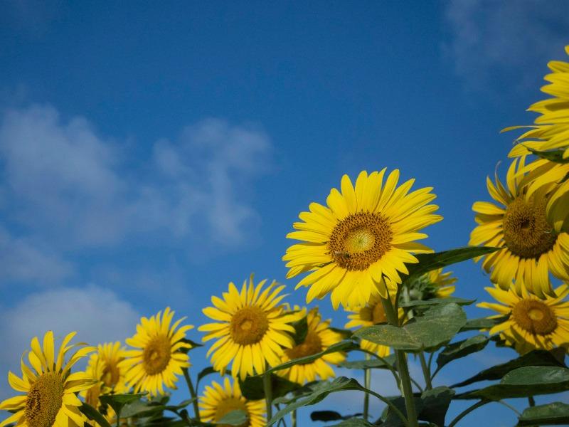 Aug 月份英文口說大躍進：5 大常見錯誤 × 自救練習，一次突破開口障礙 (2)