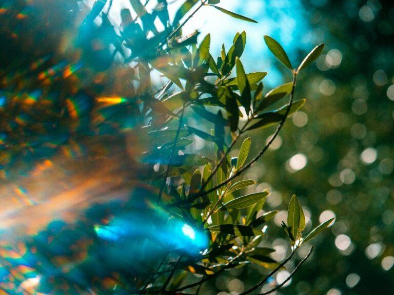 April 英文怎麼寫？apr 縮寫、常見錯誤與記憶口訣一次搞懂 , 3個常被忽略的英語寫法解析 (5)